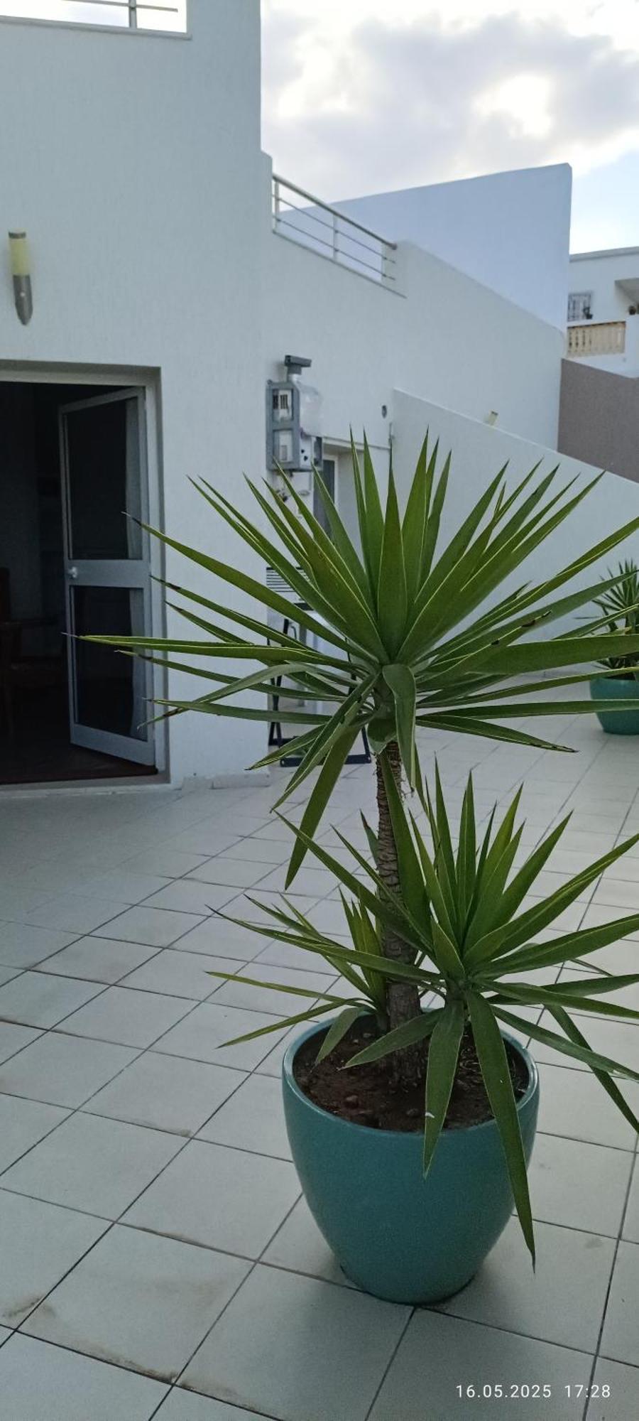 Residence Debbabi Sans Coupure D'Eau Monasztir Szoba fotó