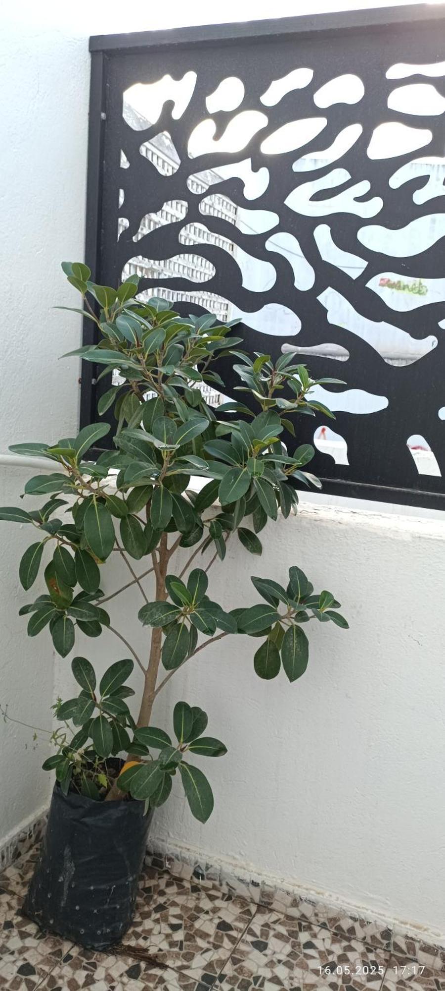 Residence Debbabi Sans Coupure D'Eau Monasztir Szoba fotó
